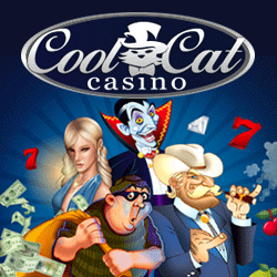 cool cat casino